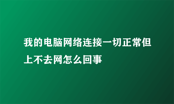 我的电脑网络连接一切正常但上不去网怎么回事