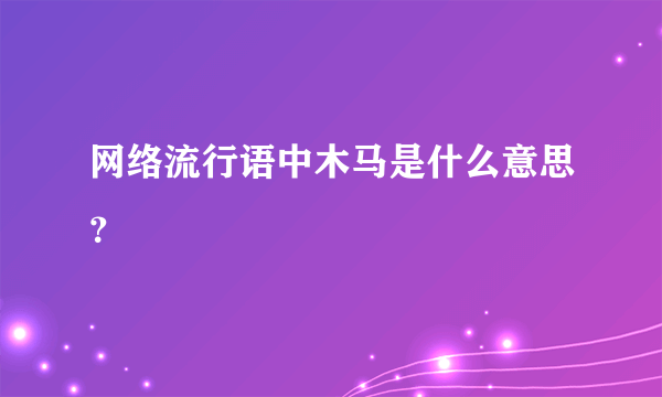 网络流行语中木马是什么意思？