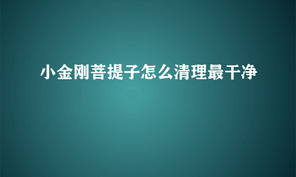 小金刚菩提子怎么清理最干净