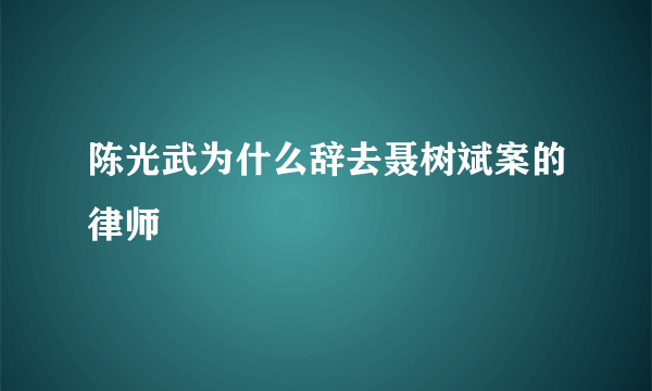 陈光武为什么辞去聂树斌案的律师