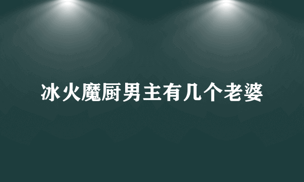 冰火魔厨男主有几个老婆