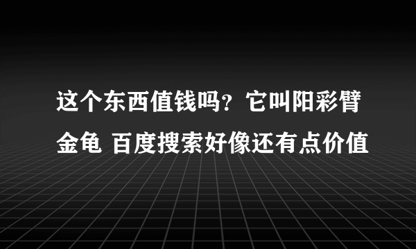 这个东西值钱吗？它叫阳彩臂金龟 百度搜索好像还有点价值