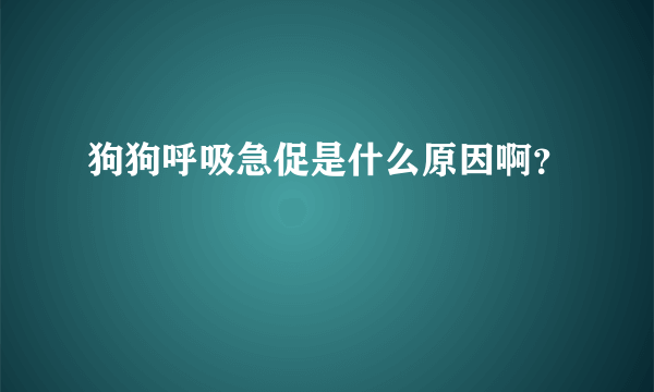 狗狗呼吸急促是什么原因啊？