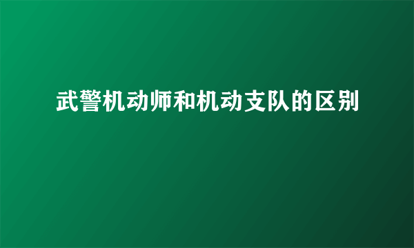 武警机动师和机动支队的区别