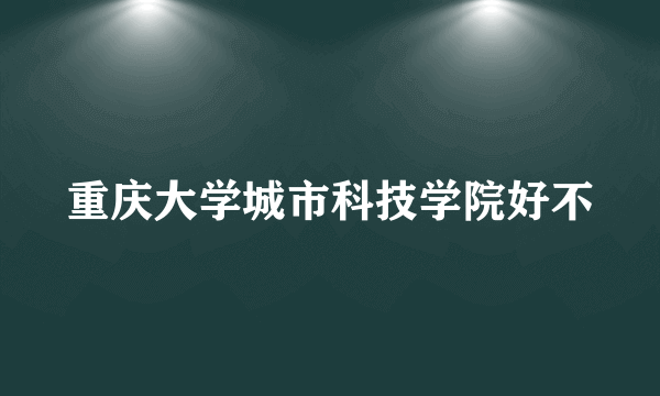 重庆大学城市科技学院好不