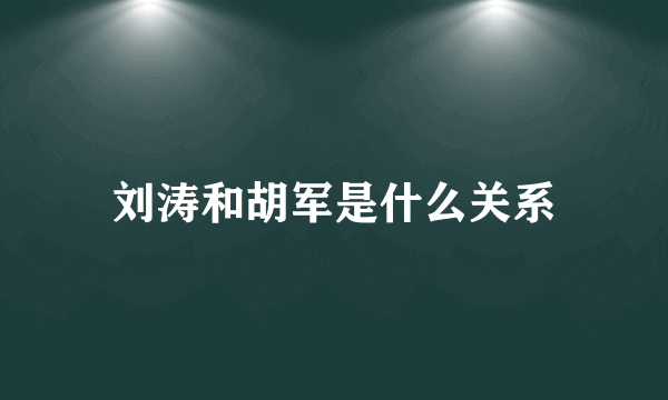 刘涛和胡军是什么关系