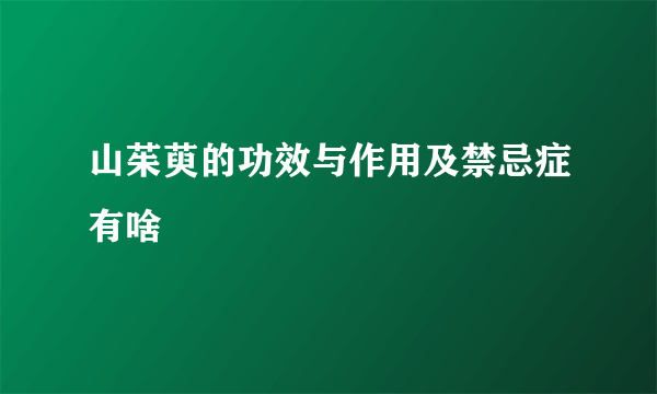 山茱萸的功效与作用及禁忌症有啥