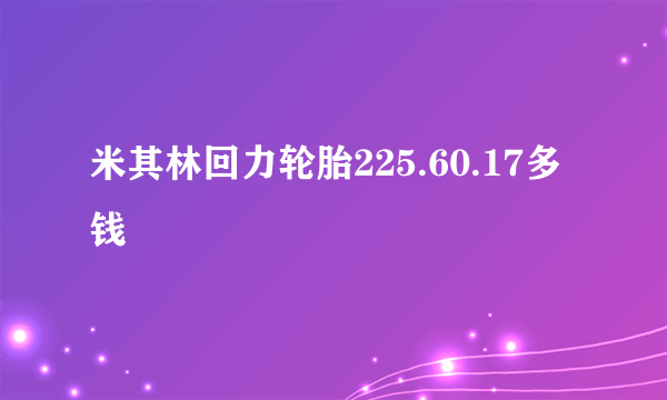 米其林回力轮胎225.60.17多钱