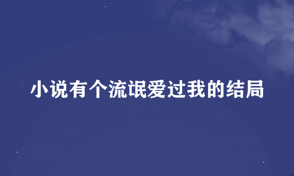 小说有个流氓爱过我的结局