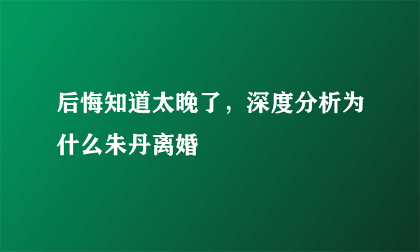 后悔知道太晚了，深度分析为什么朱丹离婚