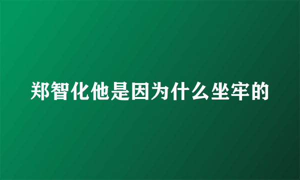 郑智化他是因为什么坐牢的