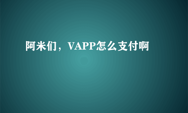 阿米们，VAPP怎么支付啊