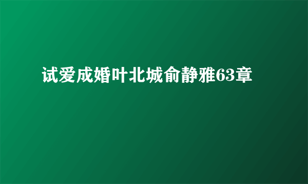 试爱成婚叶北城俞静雅63章