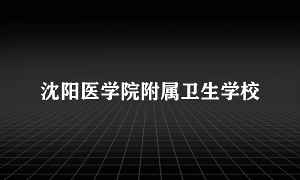 沈阳医学院附属卫生学校