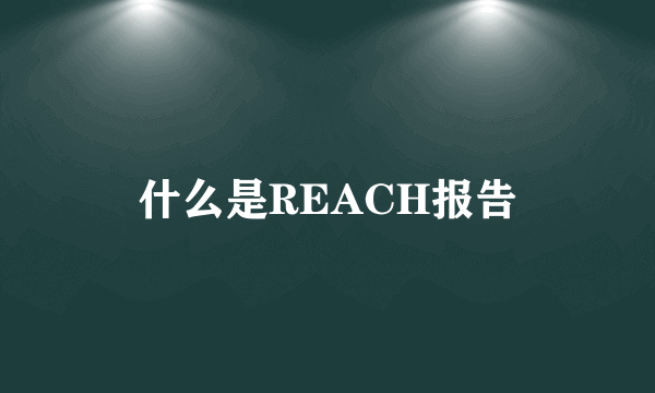 什么是REACH报告