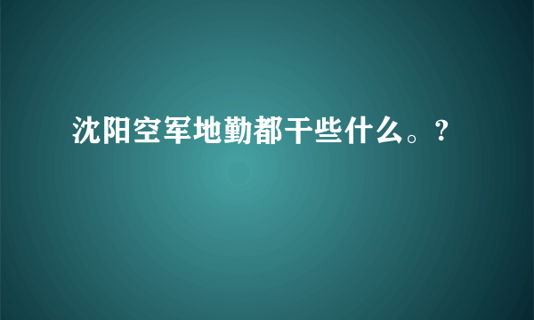 沈阳空军地勤都干些什么。?