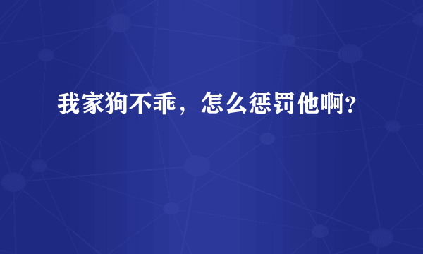 我家狗不乖，怎么惩罚他啊？