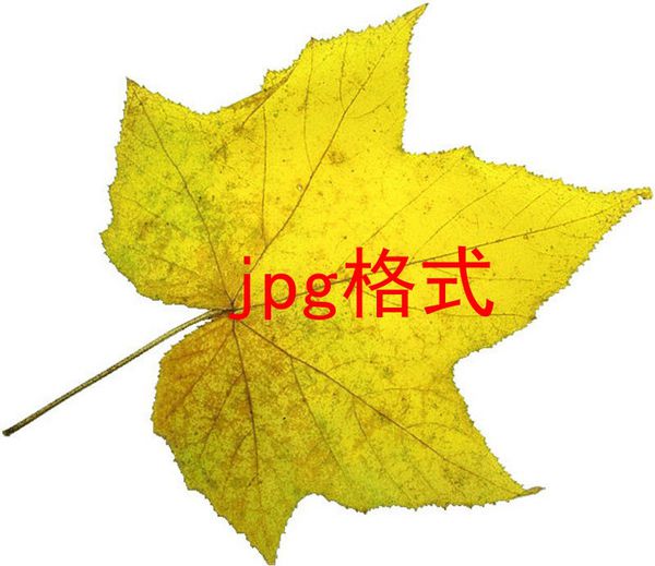 同等大小下jpg和png的区别