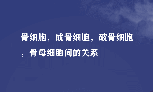 骨细胞，成骨细胞，破骨细胞，骨母细胞间的关系