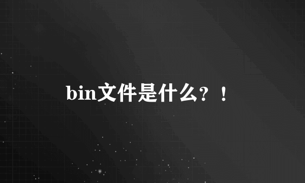 bin文件是什么？！