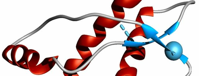 朊病毒是什么病毒？它为何被称为“生物界毒王”？