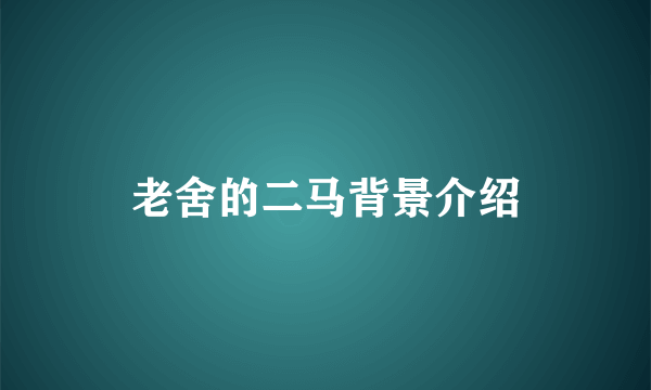 老舍的二马背景介绍