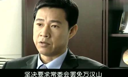 罗市长是哪部电视剧的？