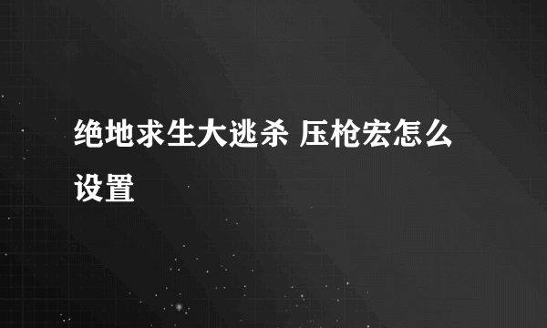 绝地求生大逃杀 压枪宏怎么设置