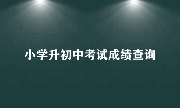 小学升初中考试成绩查询