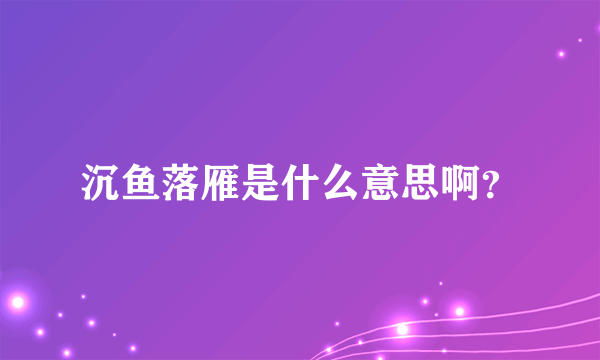 沉鱼落雁是什么意思啊？