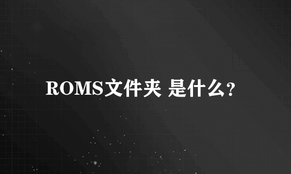 ROMS文件夹 是什么？