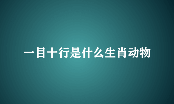 一目十行是什么生肖动物