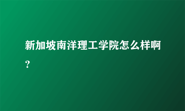 新加坡南洋理工学院怎么样啊？