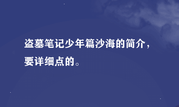 盗墓笔记少年篇沙海的简介，要详细点的。