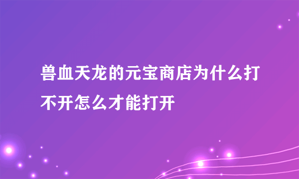 兽血天龙的元宝商店为什么打不开怎么才能打开