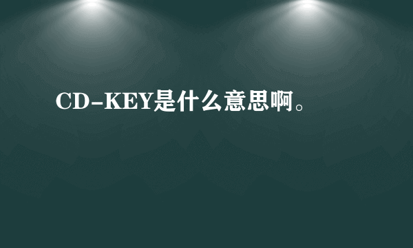 CD-KEY是什么意思啊。