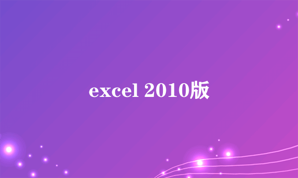 excel 2010版