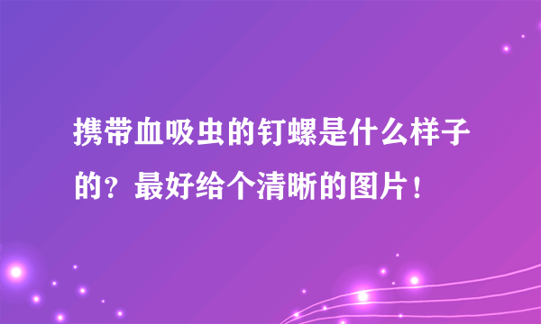 携带血吸虫的钉螺是什么样子的？最好给个清晰的图片！