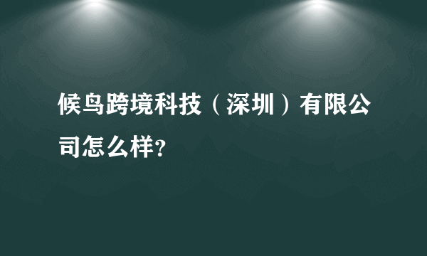 候鸟跨境科技（深圳）有限公司怎么样？