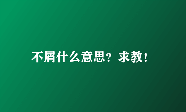 不屑什么意思？求教！