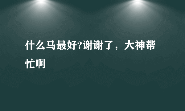 什么马最好?谢谢了，大神帮忙啊