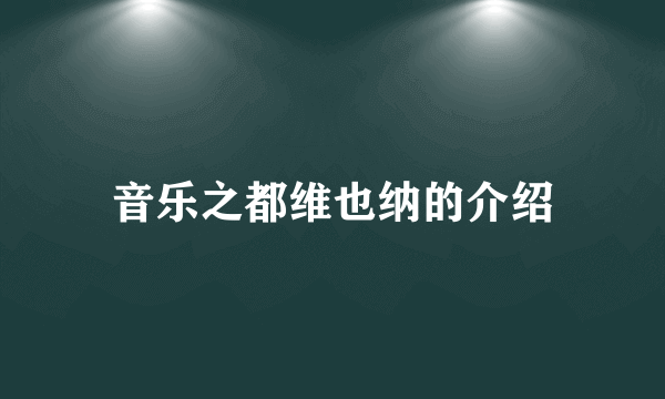 音乐之都维也纳的介绍