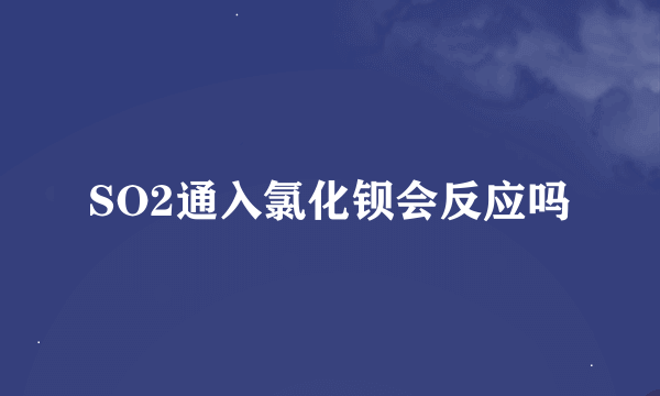 SO2通入氯化钡会反应吗