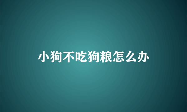 小狗不吃狗粮怎么办