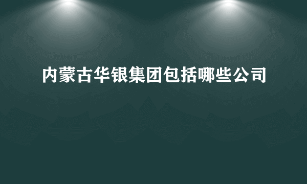 内蒙古华银集团包括哪些公司