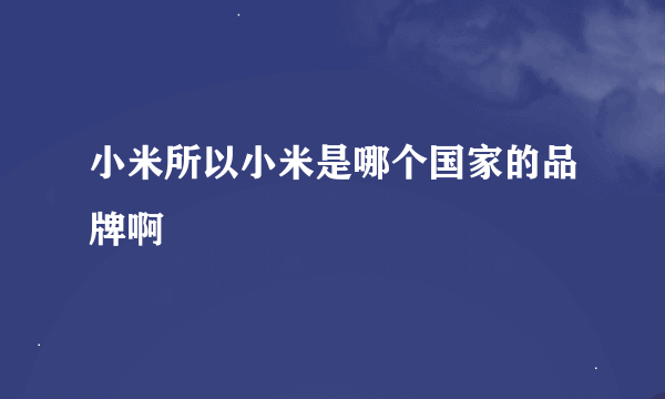 小米所以小米是哪个国家的品牌啊