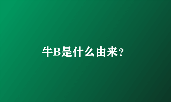 牛B是什么由来？