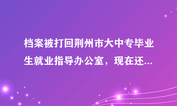 档案被打回荆州市大中专毕业生就业指导办公室，现在还没去报到，现在在武汉工作，去荆州很麻烦呢，