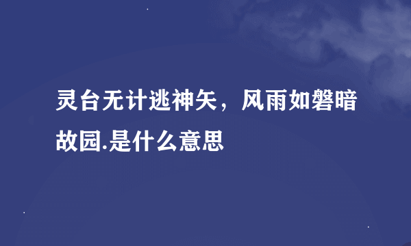 灵台无计逃神矢，风雨如磐暗故园.是什么意思