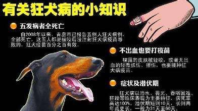 幼猫得狂犬病得机率是多少?